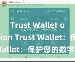 Trust Wallet old version Trust Wallet：保护您的数字资产